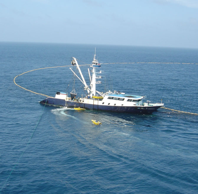 actividades-programa-nacional-de-observadores Actividades programa nacional de observadores