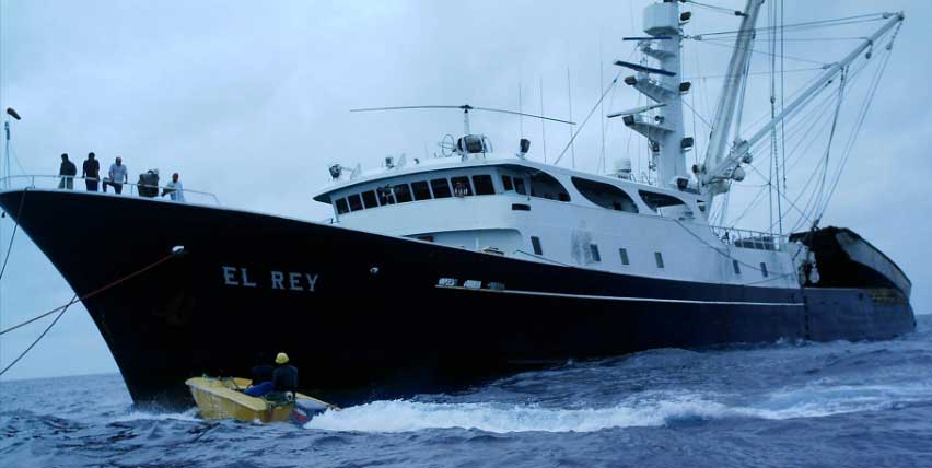 programas-de-investigacion-acerca-de-nosotros Investigación acerca de nosotros